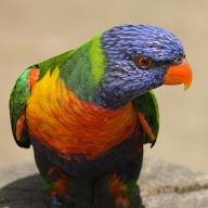 よしき アイコン